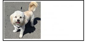 Ask Oscar